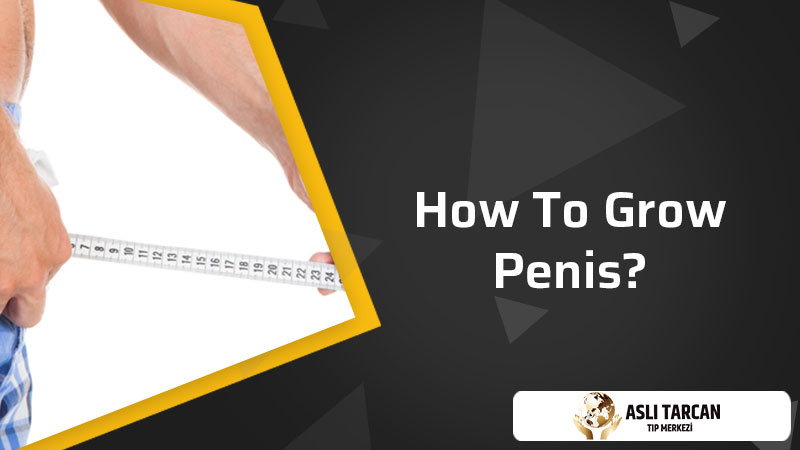 How To Grow Penis?